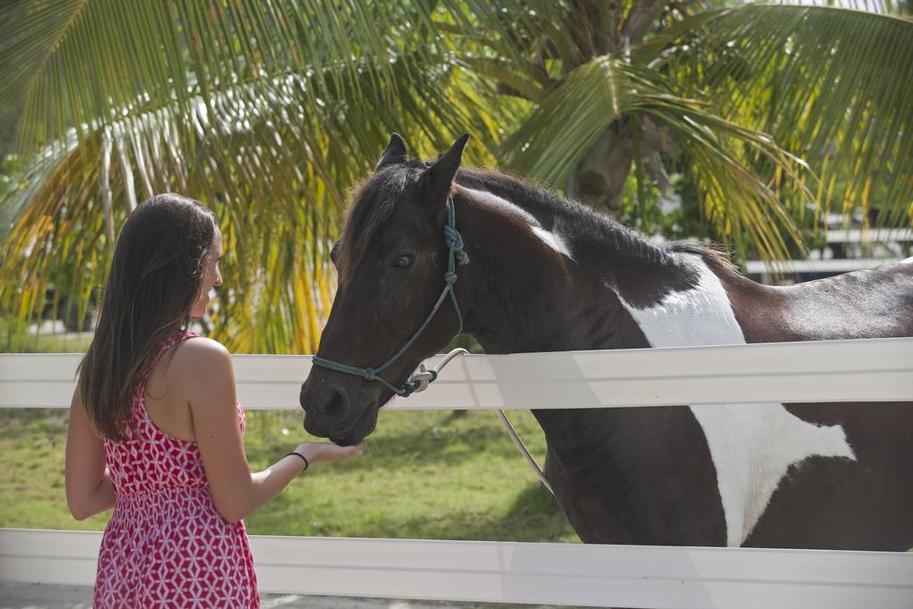 Biras Creek Resort Spanish Town Esterno foto